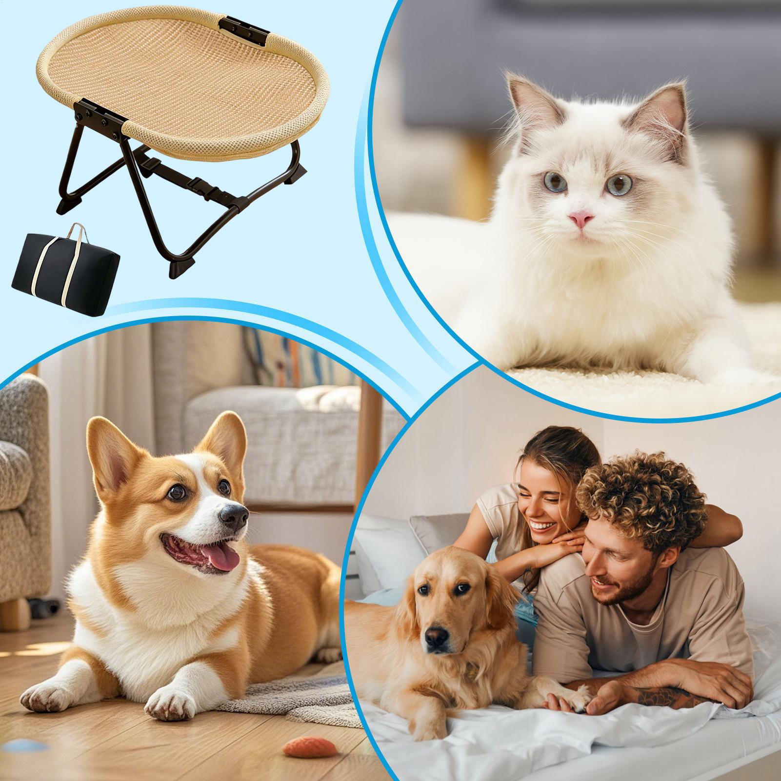 Dog Cot Bed Foldable Soft Hamm - Outdoor Camping Dog Bed avaliação e preço