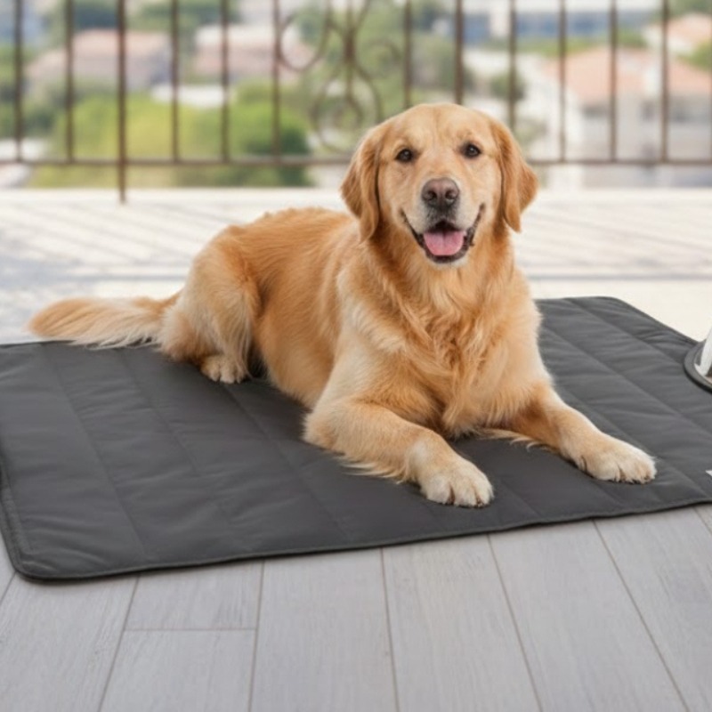 Pet Blanket Outdoor All Season - Outdoor Camping Dog Bed avaliação e preço