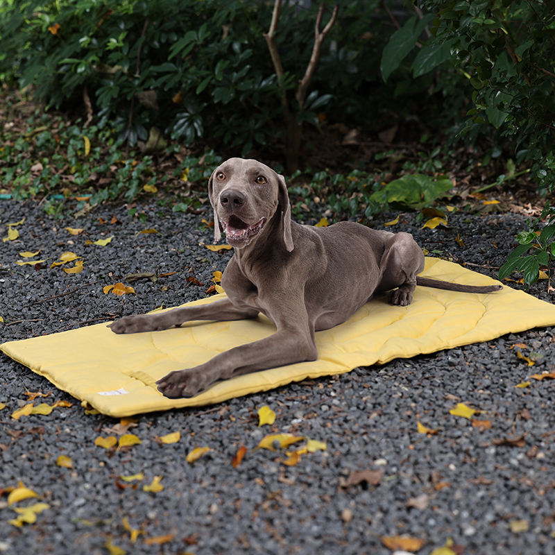 Portable Pet Mat Foldable Pet  - Outdoor Camping Dog Kennel avaliação e preço