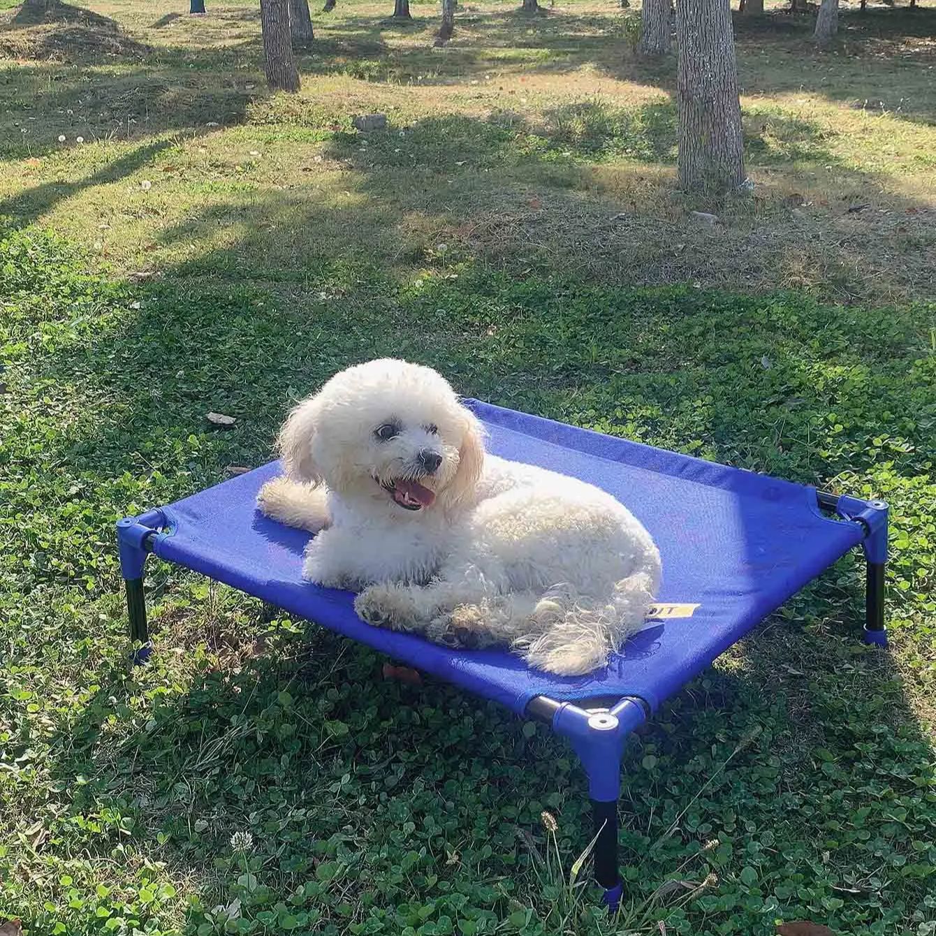 FULED Portable Outdoor Elevate - Outdoor Camping Dog Bed avaliação e preço