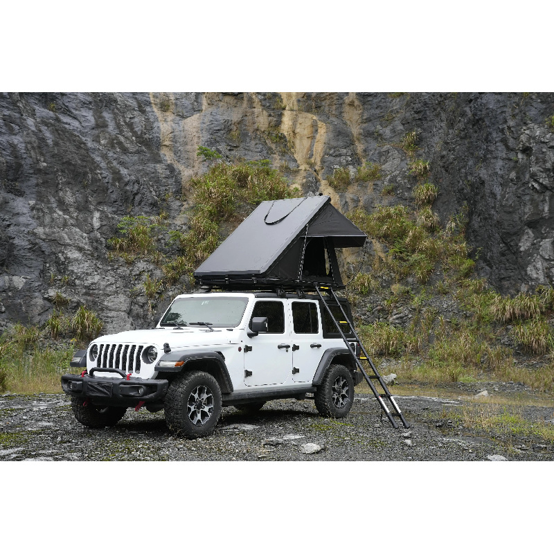 Hot selling Camping Outdoor Ca - Outdoor Camping Automatic Quick Opening Tent avaliação e preço
