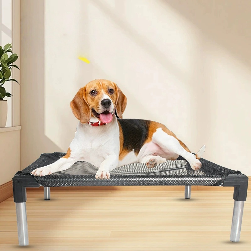 Cooling Elevated Dog Bed - Rai - Outdoor Camping Dog Bed avaliação e preço