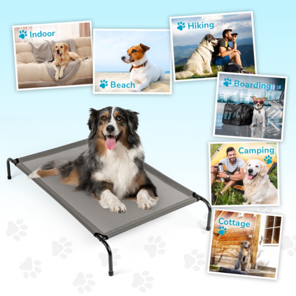 Portable assembled pet bed for - Outdoor Camping Dog Bed avaliação e preço