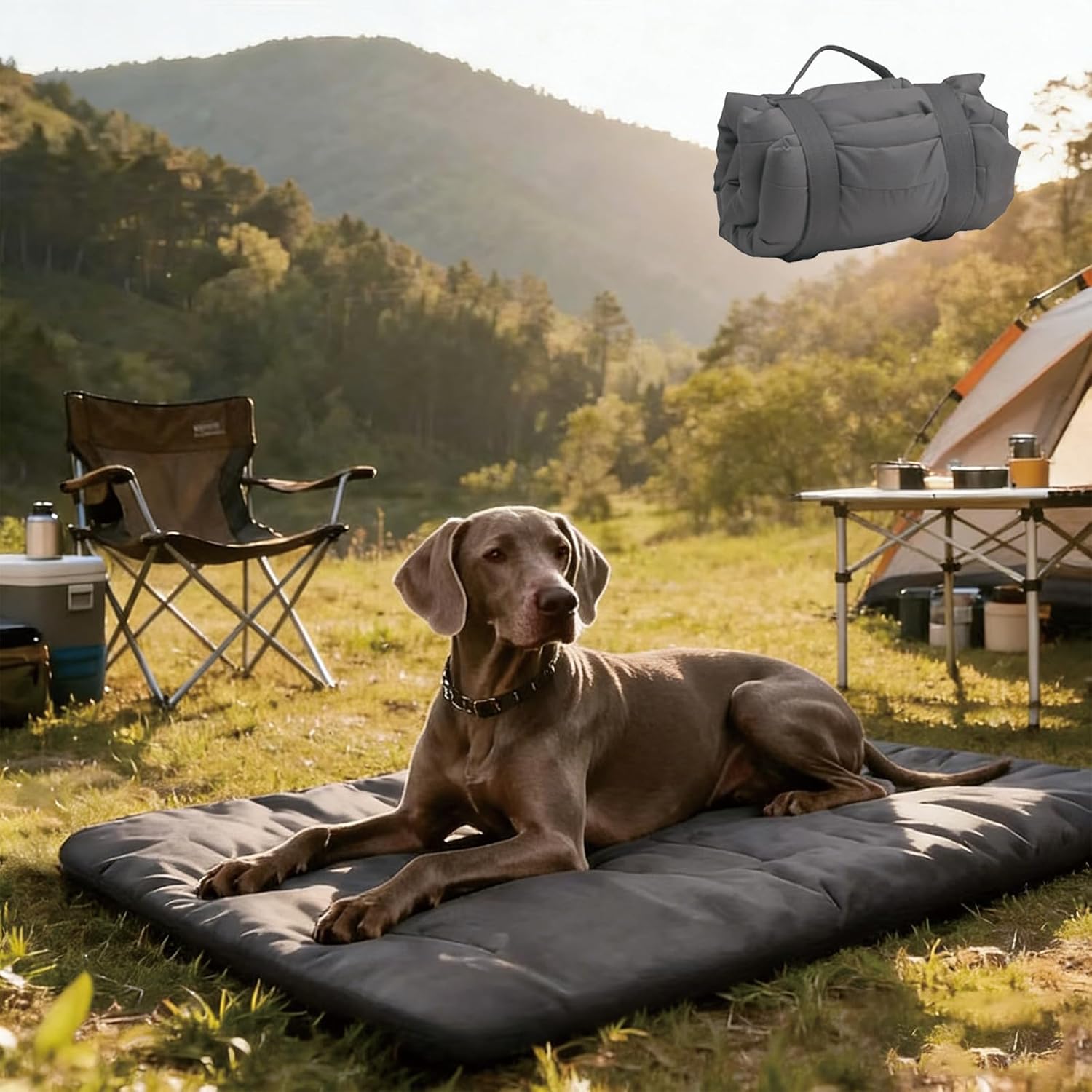 Outdoor Travel Dog Bed Mat Lar - Outdoor Camping Dog Kennel avaliação e preço