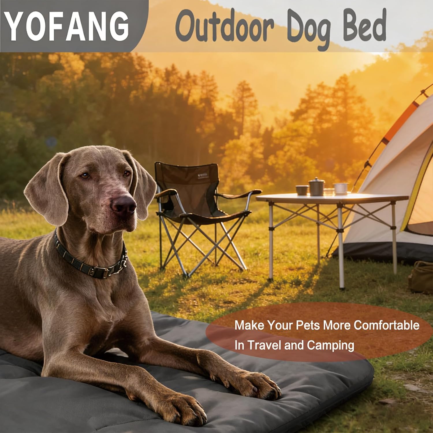 Outdoor Travel Dog Bed Mat Lar - Outdoor Camping Dog Kennel avaliação e preço