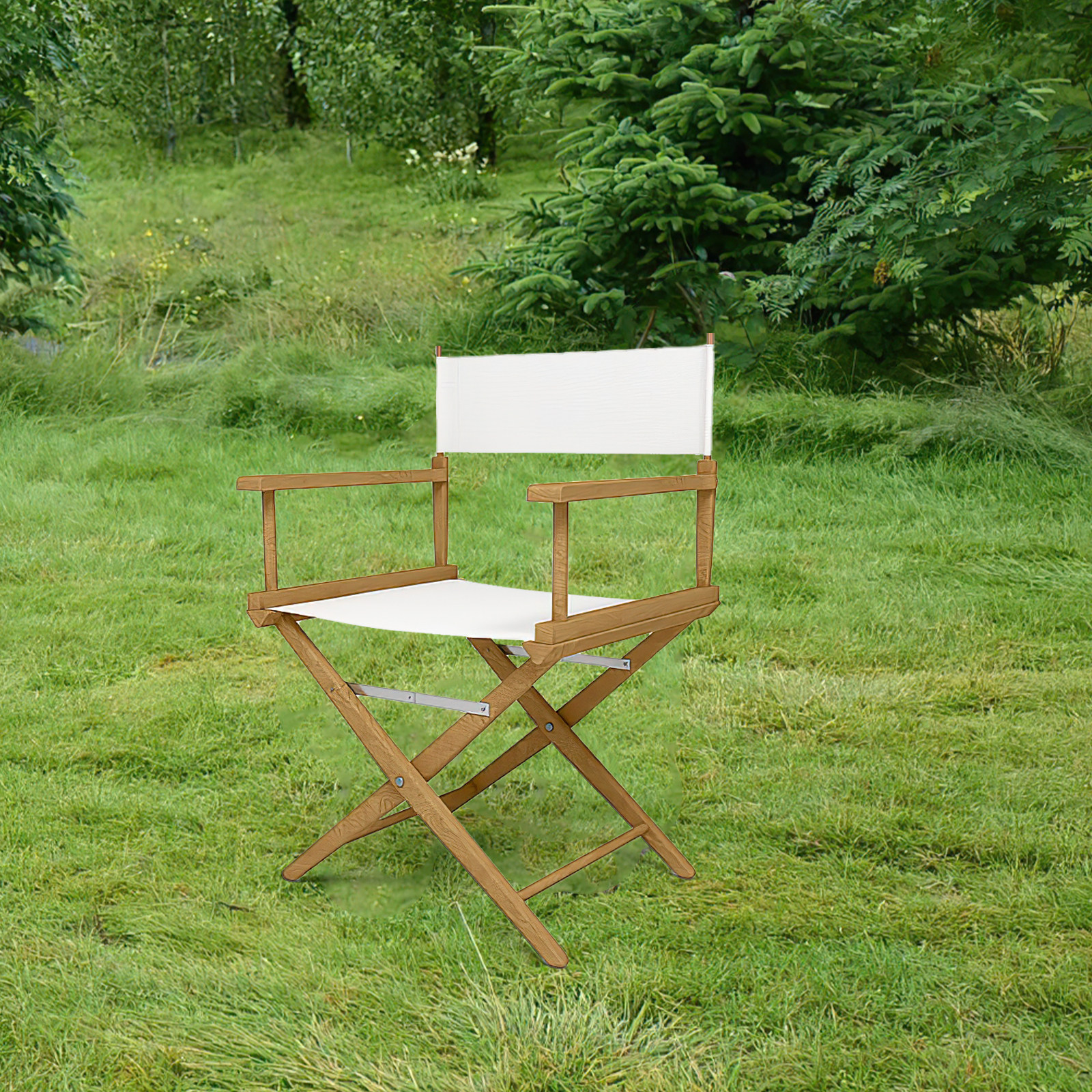 Folding Chair Seat Replacement - Outdoor Camping Movies avaliação e preço
